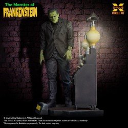 Frankenstein figurine Plastic Model Kit 1/8 The Monster of Frankenstein 27 cm   