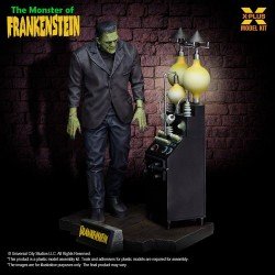 Frankenstein figurine Plastic Model Kit 1/8 The Monster of Frankenstein 27 cm   