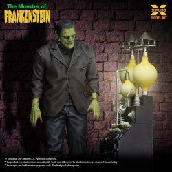 Frankenstein figurine Plastic Model Kit 1/8 The Monster of Frankenstein 27 cm   