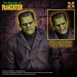 Frankenstein figurine Plastic Model Kit 1/8 The Monster of Frankenstein 27 cm   