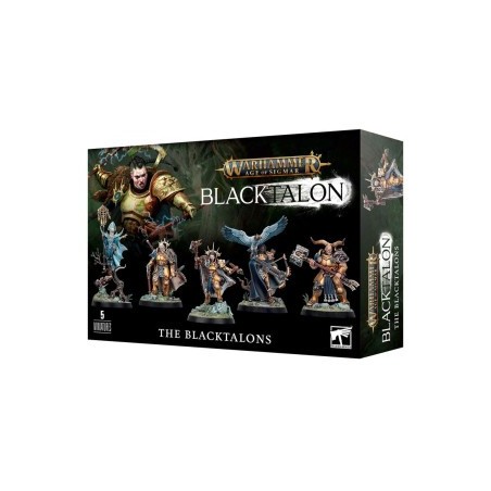 Warhammer Age Of Sigmar - Stormcast Eternals: De Blacktalons