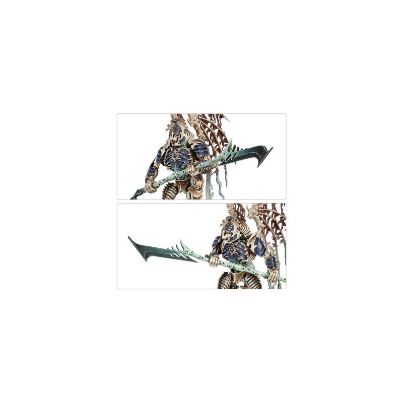 Warhammer Age Of Sigmar - Ossiarch Bonereapers : Spearhead/Fer de Lance : Mortisan Elite