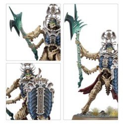 Warhammer Age Of Sigmar - Ossiarch Bonereapers: Speerpunt/Speerpunt: Mortisan Elite