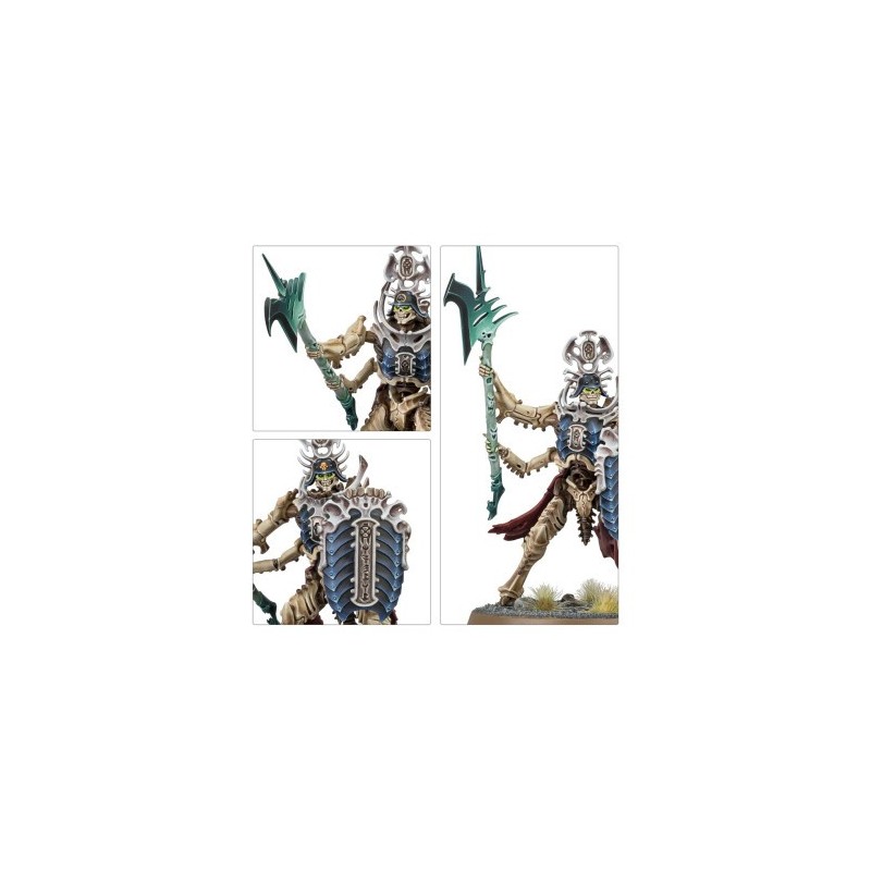 Warhammer Age Of Sigmar - Ossiarch Bonereapers: Speerpunt/Speerpunt: Mortisan Elite