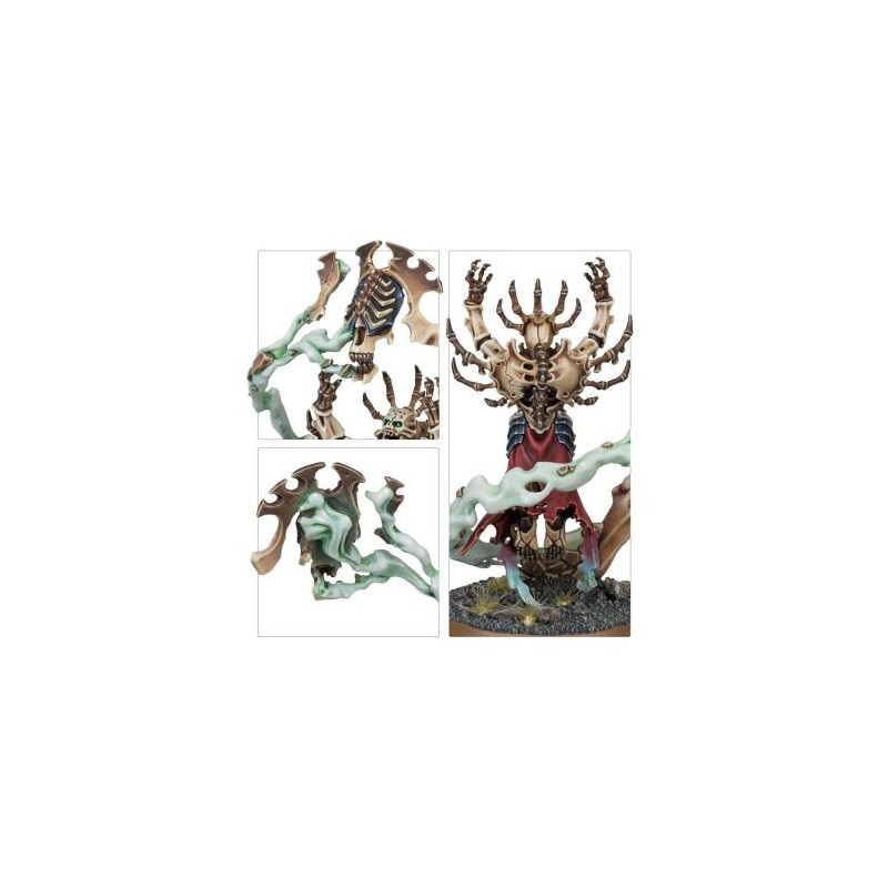 Warhammer Age Of Sigmar - Ossiarch Bonereapers : Spearhead/Fer de Lance : Mortisan Elite
