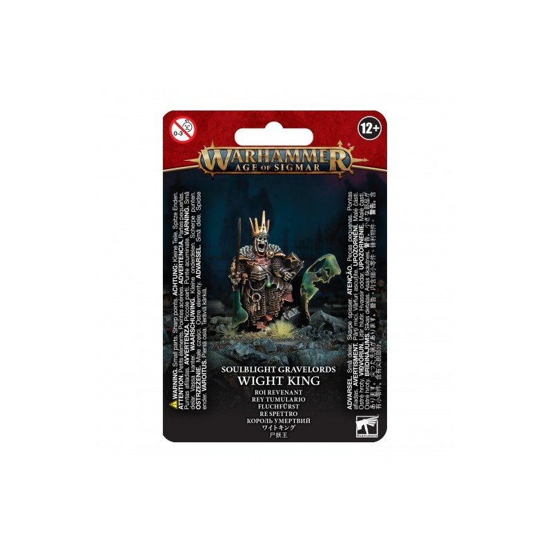 Warhammer Age of Sigmar - Soulblight Gravelords : Wight King