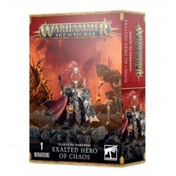 Warhammer Age Of Sigmar - Slaves To Darkness: Verheven Held van Chaos