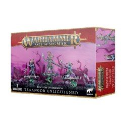 Warhammer Age Of Sigmar - Disciples De Tzeench : Tzaangor Enlightened