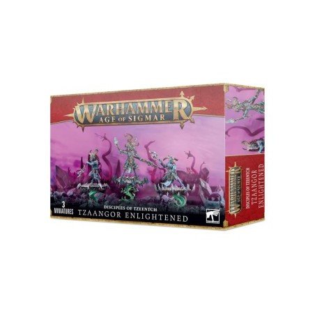 Warhammer Age Of Sigmar - Discipelen van Tzeench: Tzaangor Verlicht