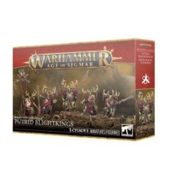 Warhammer Age Of Sigmar - Maggotkin Of Nurgle: Putrid Blightkings