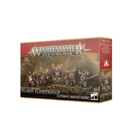 Warhammer Age Of Sigmar - Maggotkin Of Nurgle: Putrid Blightkings