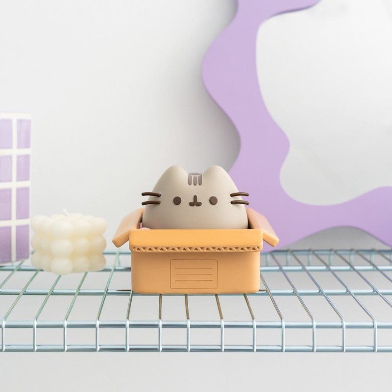 Pusheen tirelire