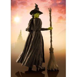 Wicked figurine S.H. Figuarts Elphaba 14 cm