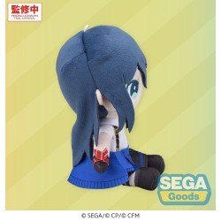 Hatsune Miku: Colorful Stage! My Sekai peluche Ichika Hoshino (S) 13 cm