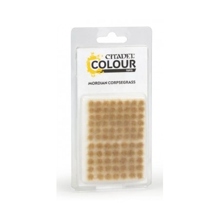 Citadel Colour - Mordian Corpsegrass