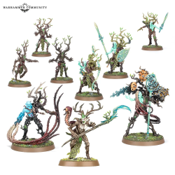 Warhammer Tijdperk van Sigmar - Sylvaneth: De Verdraaide Tak