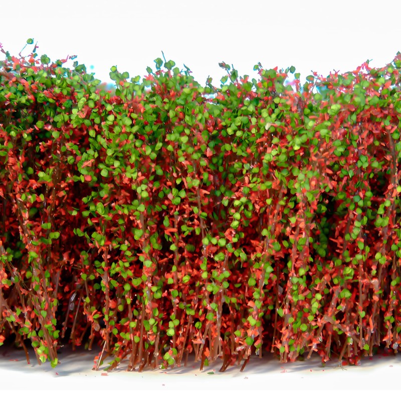 Green Stuff World - Bush Tufts Heute - Rouge vert