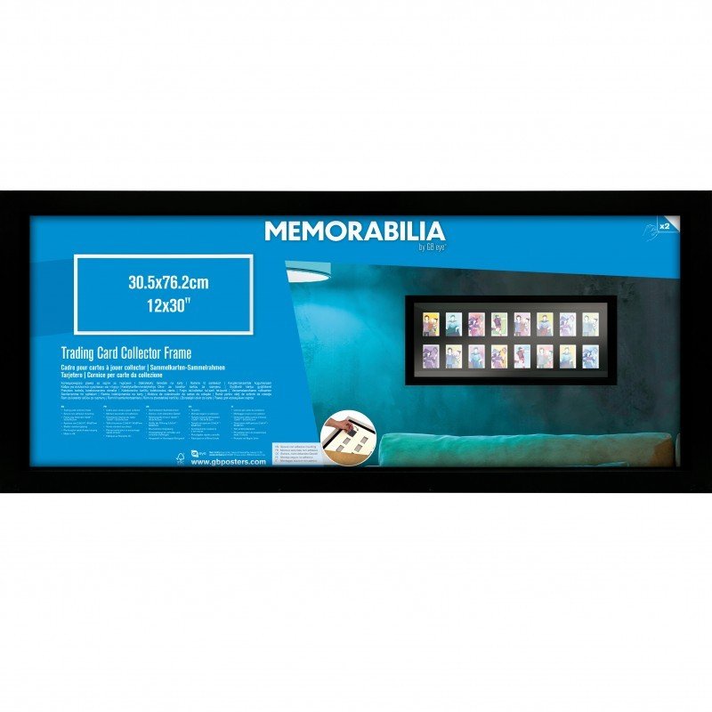 Memorabilia - Collector's Frame 16 Trading Cards Black | 3665361107613