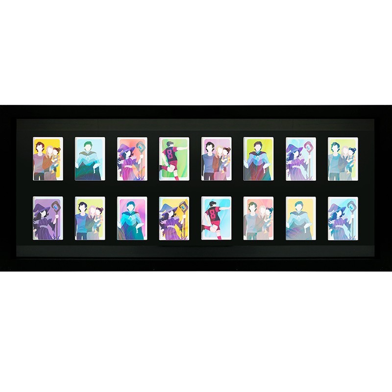 Memorabilia - Collector's Frame 16 Trading Cards Zwart | 3665361107613