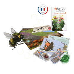 Roletime - The Plain of Buzzing
