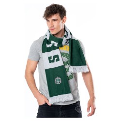 Harry Potter écharpe Slytherin