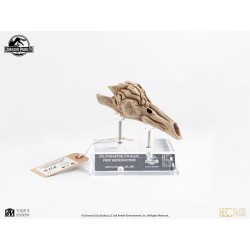 Jurassic Park III Prop Replica 1/1 Velociraptor Resonance Chamber 18 cm