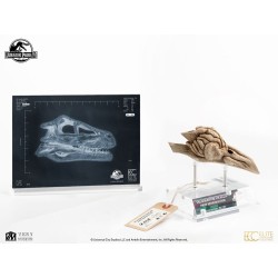 Jurassic Park 3 Réplique Prop 1/1 Velociraptor Resonance Chamber 18 cm
