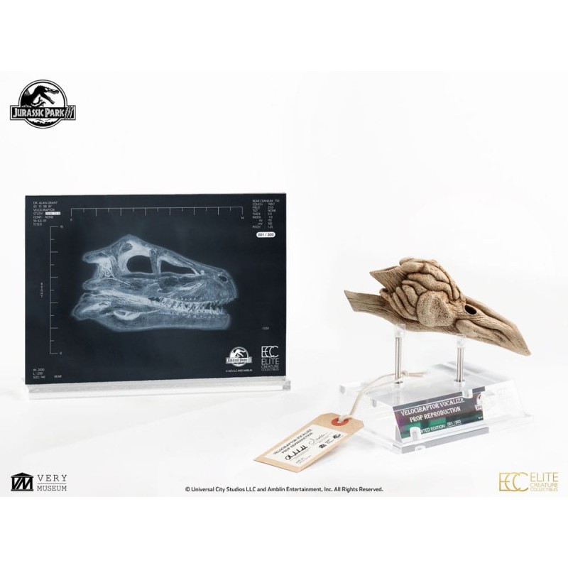 Jurassic Park 3 Réplique Prop 1/1 Velociraptor Resonance Chamber 18 cm