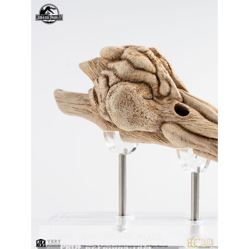 Jurassic Park 3 Réplique Prop 1/1 Velociraptor Resonance Chamber 18 cm