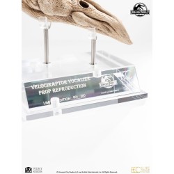 Jurassic Park 3 Réplique Prop 1/1 Velociraptor Resonance Chamber 18 cm
