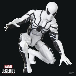 Future Foundation Marvel Legends Action Figure 2-Pack Mister Fantastic & Spider-Man 15 cm