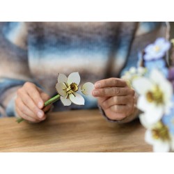 Revell Flowers fleurs en bois Blossom Festival 22 cm