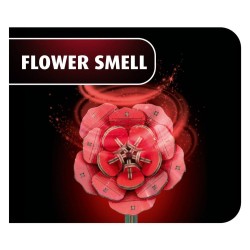 Revell Flowers fleurs en bois Dream of Roses 22 cm
