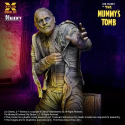 Universal Monsters Plastic Modelbouwpakket 1/8 Lon Chaney, Jr. als Mummie (Reproductie) Figuur 23 cm