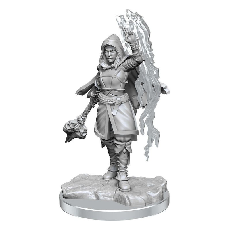 WizKids - D&D Nolzur's Marvelous - Miniature à peindre - Half-Elf Warlock | 634482904107