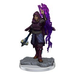 WizKids - D&D Nolzur's Marvelous - Miniature à peindre - Half-Elf Warlock | 634482904107