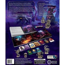 Dragon Eclipse: Shadow Realm Incursion (met miniaturen)
