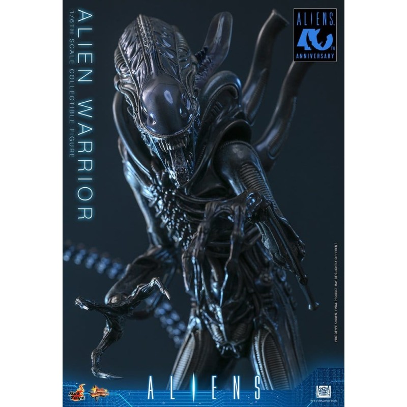 Alien Movie Masterpiece figurine 1/6 Alien Warrior 39 cm