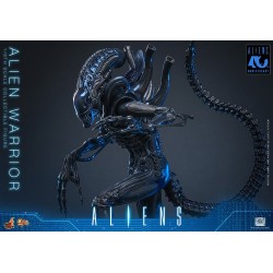 Alien Movie Masterpiece figurine 1/6 Alien Warrior 39 cm