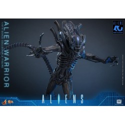 Alien Movie Masterpiece figurine 1/6 Alien Warrior 39 cm