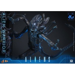 Alien Movie Masterpiece figurine 1/6 Alien Warrior 39 cm