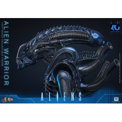 Alien Movie Masterpiece Action Figure 1/6 Alien Warrior 39 cm