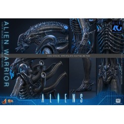 Alien Movie Masterpiece Action Figure 1/6 Alien Warrior 39 cm