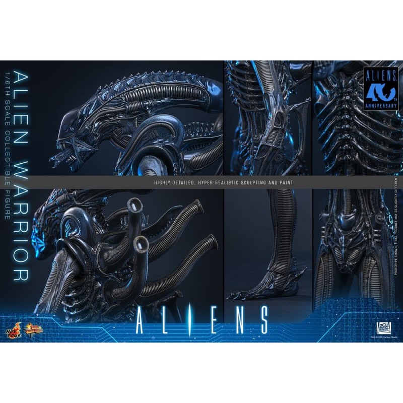 Alien Movie Masterpiece figurine 1/6 Alien Warrior 39 cm