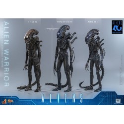 Alien Movie Masterpiece figurine 1/6 Alien Warrior 39 cm