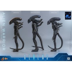 Alien Movie Masterpiece Action Figure 1/6 Alien Warrior 39 cm