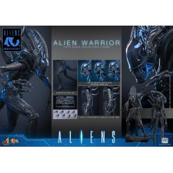 Alien Movie Masterpiece figurine 1/6 Alien Warrior 39 cm