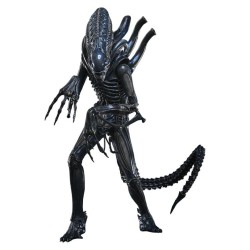 Alien Movie Masterpiece Action Figure 1/6 Alien Warrior (Deluxe Version) 39 cm