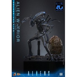 Alien Movie Masterpiece figurine 1/6 Alien Warrior (Deluxe Version) 39 cm