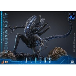 Alien Movie Masterpiece figurine 1/6 Alien Warrior (Deluxe Version) 39 cm